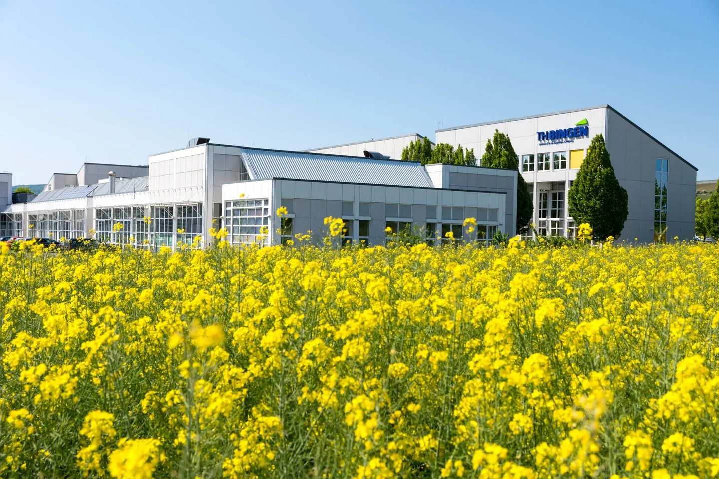 Campus TH Bingen